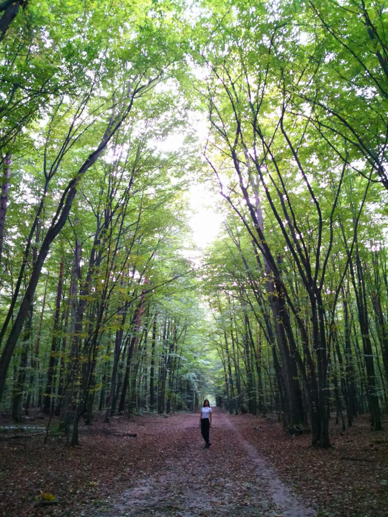 Osiedle Cichy Zakątek